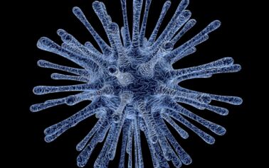 Thyroid Hormone Levels